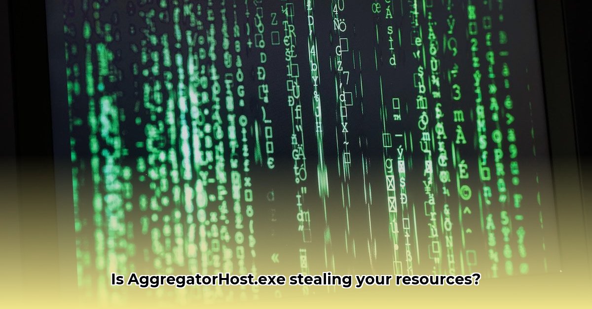 aggregatorhost-exe-why-running